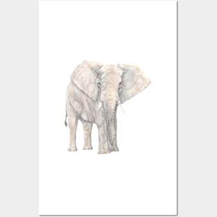 elephant Posters and Art